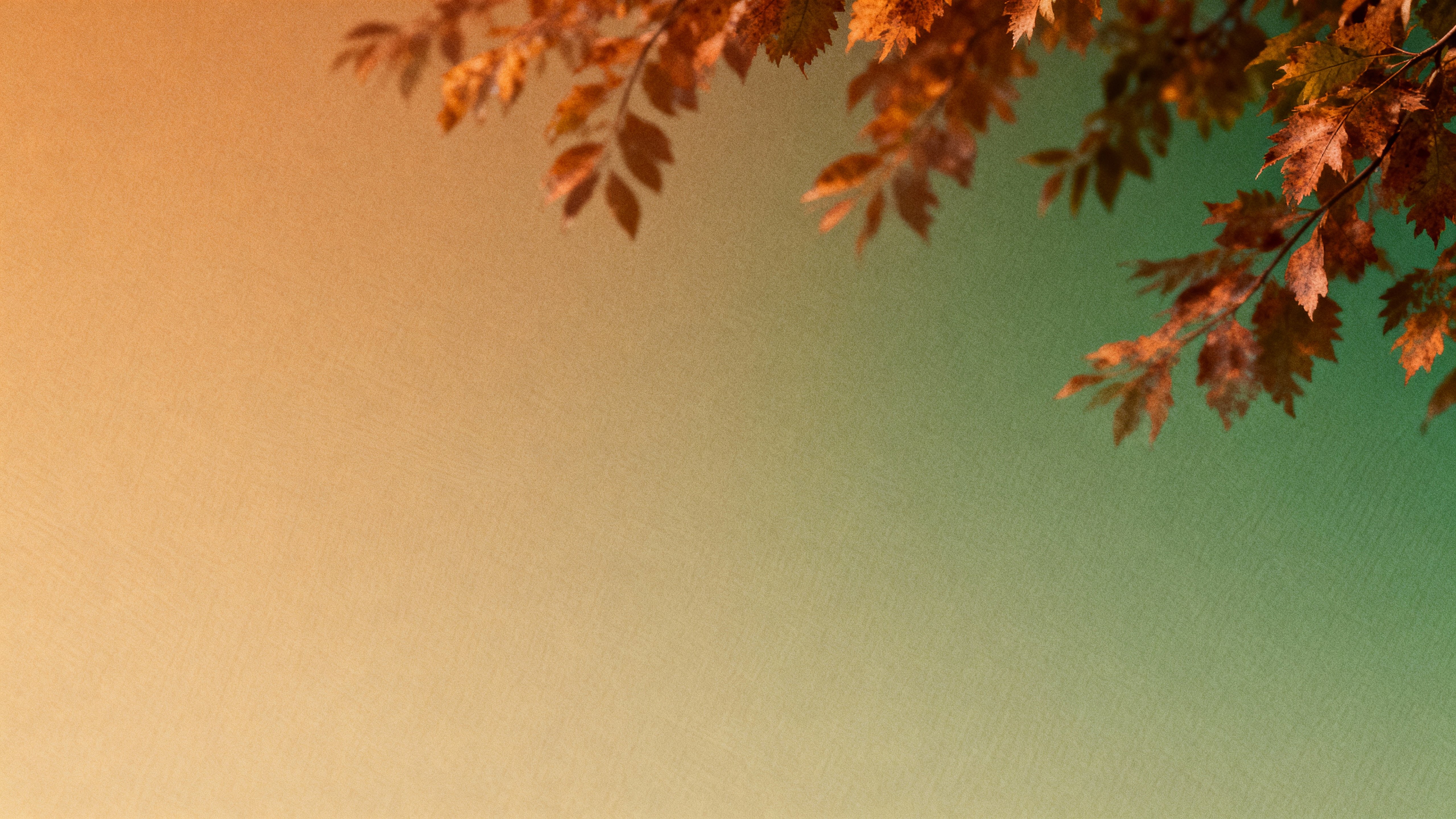 Abstract foliage gradients flow across a flat field in an editorial-minimal photographic abstraction, transitioning amber to forest green with soft rust inflections, muted olive undertones, paper-like tooth, uniform focus, and generous copy