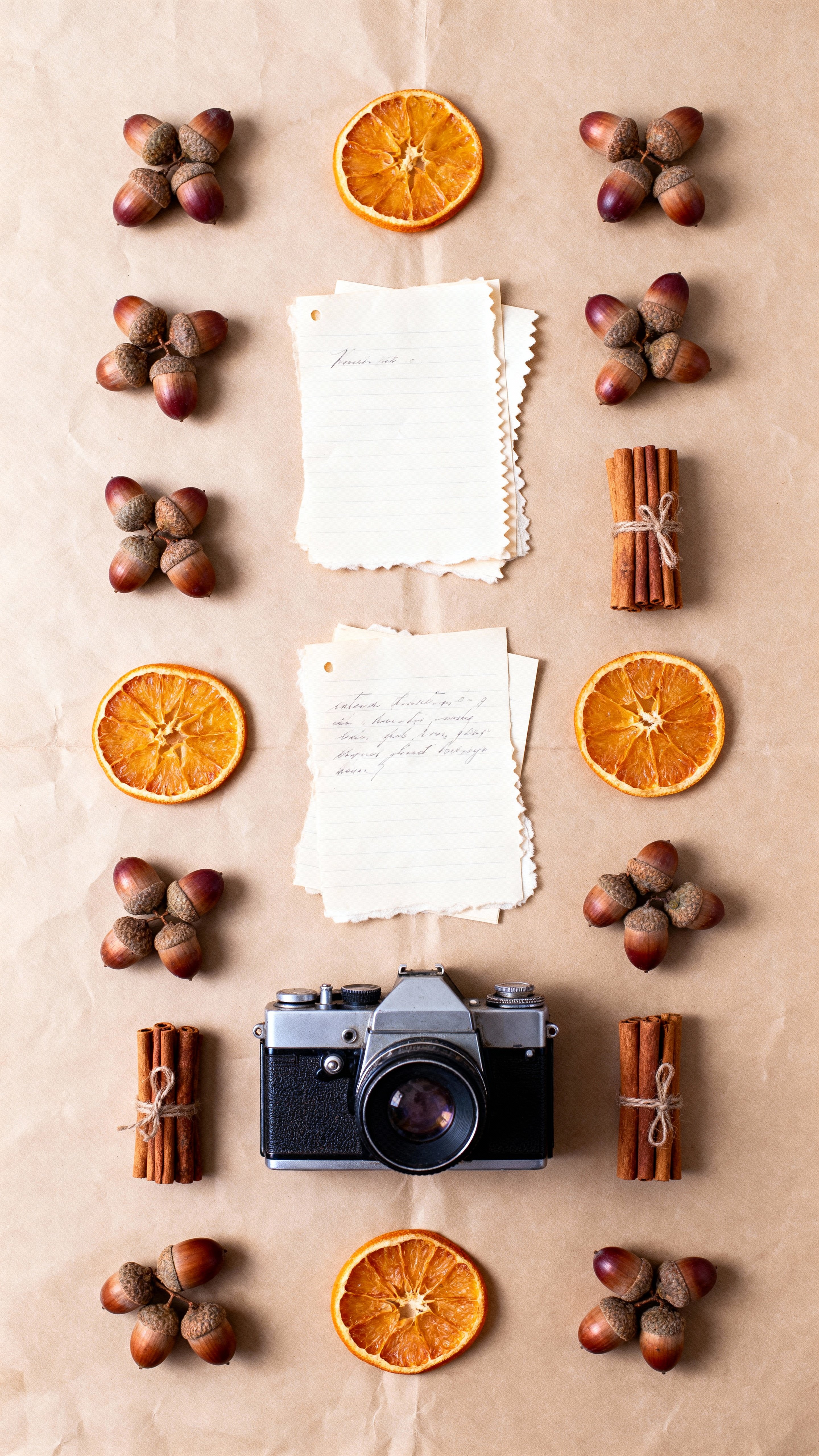 Top-down flat lay of autumn treasures—acorns, dried orange slices, cinnamon sticks, handwritten notes, and a vintage camera—symmetrically arranged on parchment-toned paper with soft shadows and warm, artisanal colors.