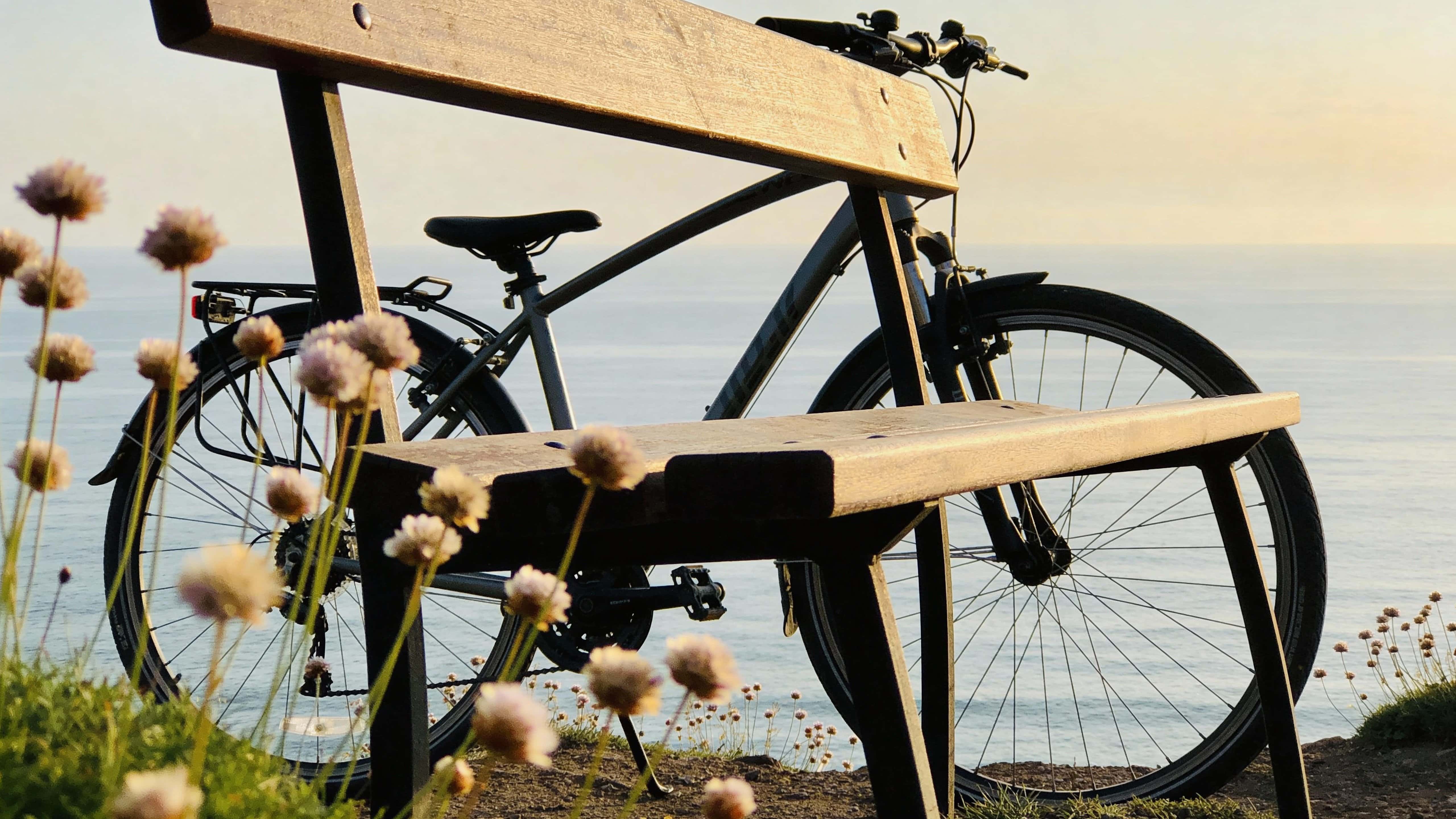 A cinematic, story-driven coastal scene showing an empty bench and parked bicycle beside swaying flowers overlooking a vast calm sea, evoking quiet absence and reflection.