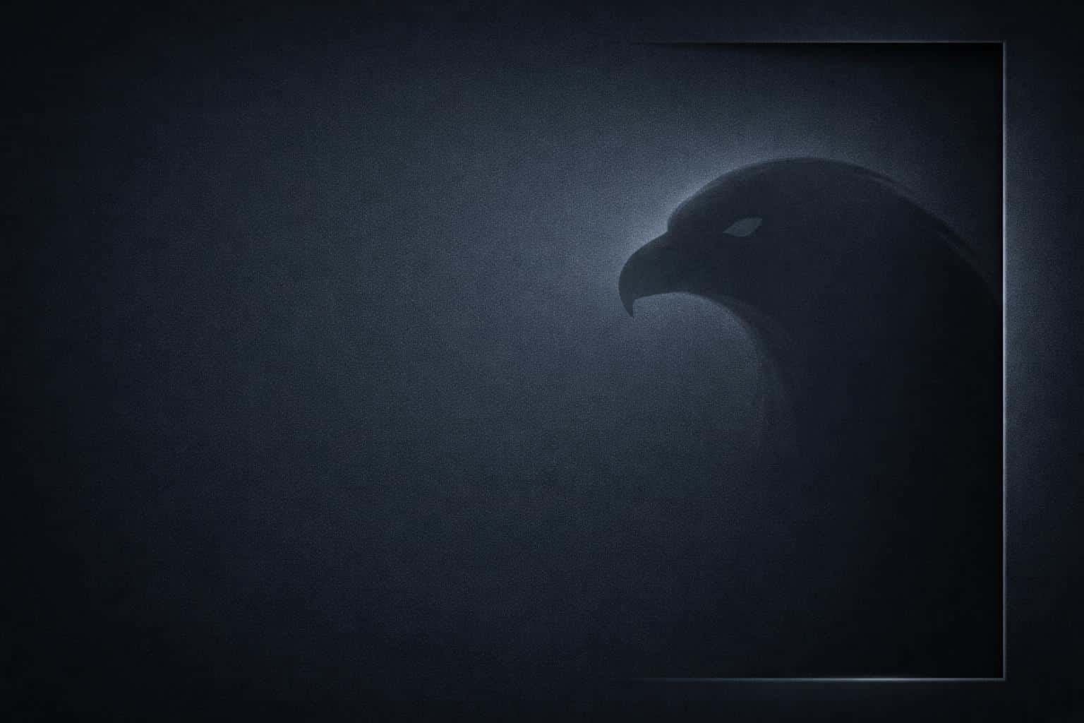 Minimal premium 3:2 composition with a midnight-slate field and subtle grain, broad left negative space, a right-third bevel suggesting recess, and an abstract bird-head silhouette with a faint inner glow.