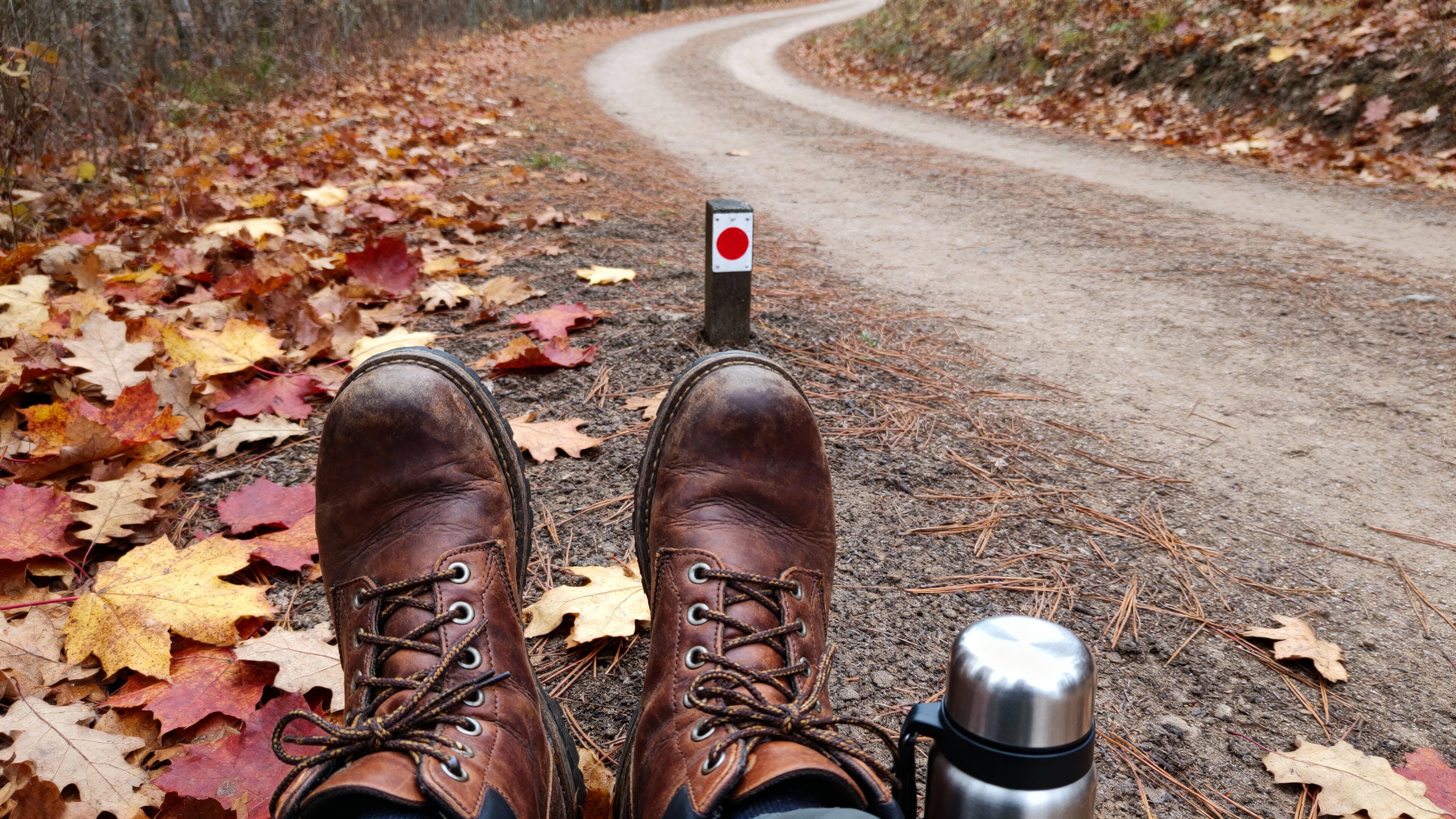 Worn leather boots pause on a leaf-strewn trail of russet maple and gold oak over compacted earth and pine needles, a stainless thermos cap nearby, soft overcast light balancing warm rusts and cool browns with shallow depth separating boots