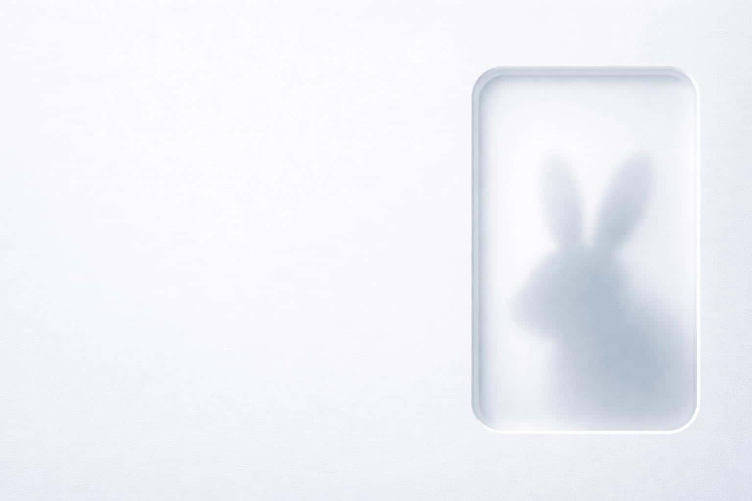 Minimal 3:2 composition with a pale cool gradient and fine matte texture, broad left negative space, and a beveled recessed panel at right revealing a softly blurred bunny head silhouette behind the surface.