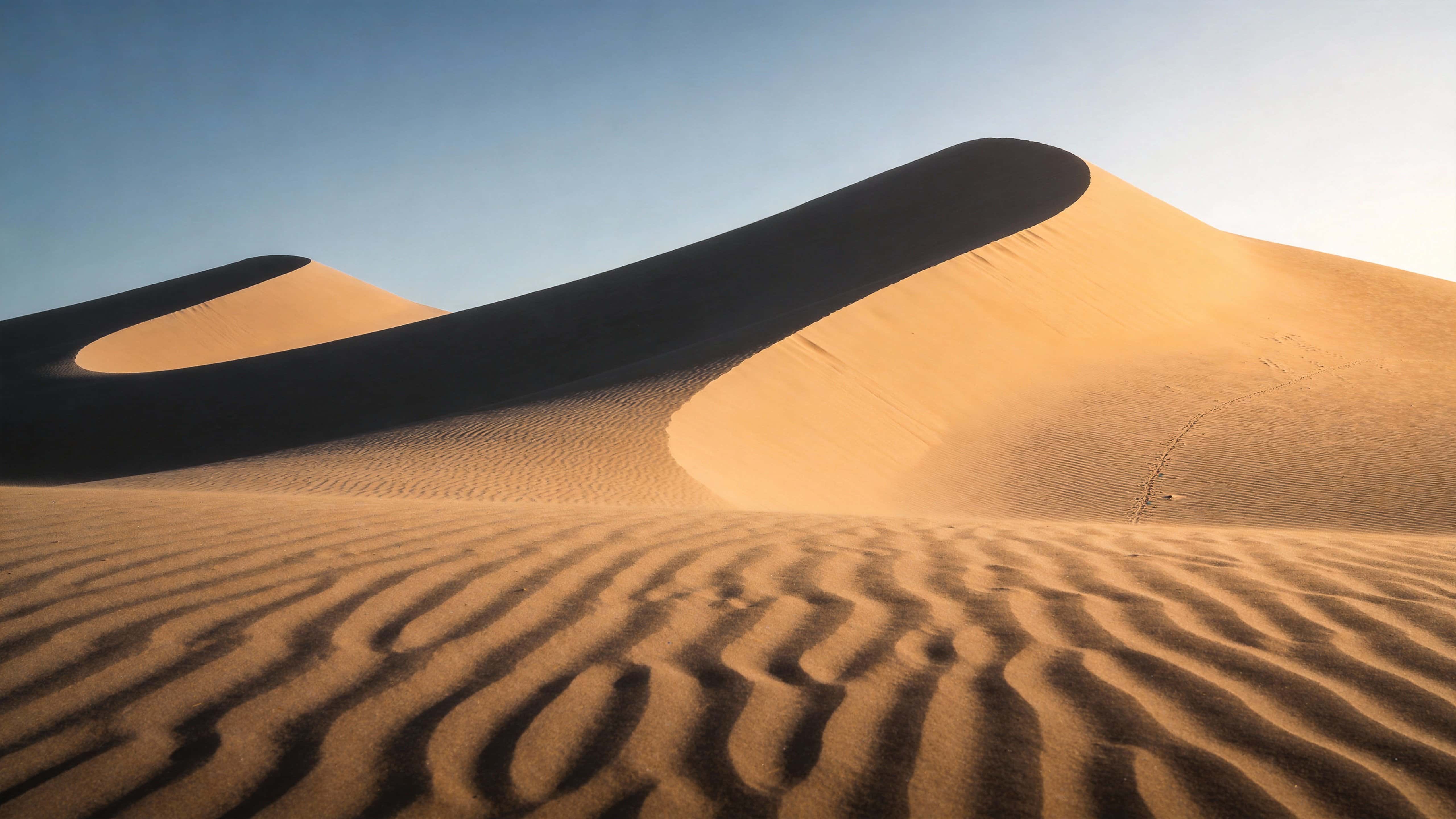 16:9 desert landscape photograph of rolling sand dunes with soft wind-sculpted ripples, warm low-angle light, subtle color gradation, and expansive negative space for wallpaper.