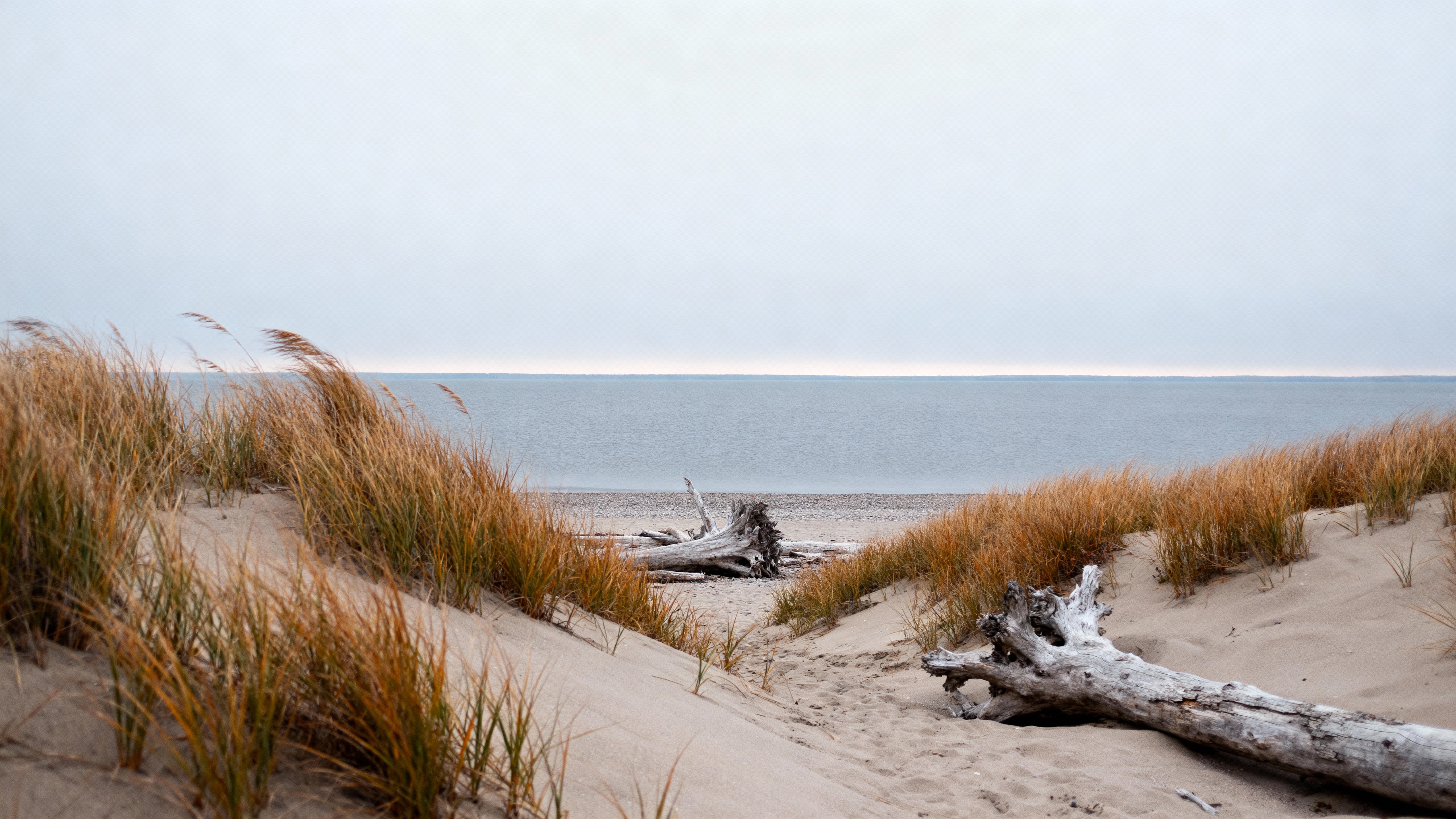 A windswept fall shoreline of dunes and tawny grasses by a slate-blue sea under cool overcast mist, with muted sage, sand and slate tones (#9CA88A, #CDBA90, #76838F, #D6CBB8, #8B6F4E, #B7BFC3).
