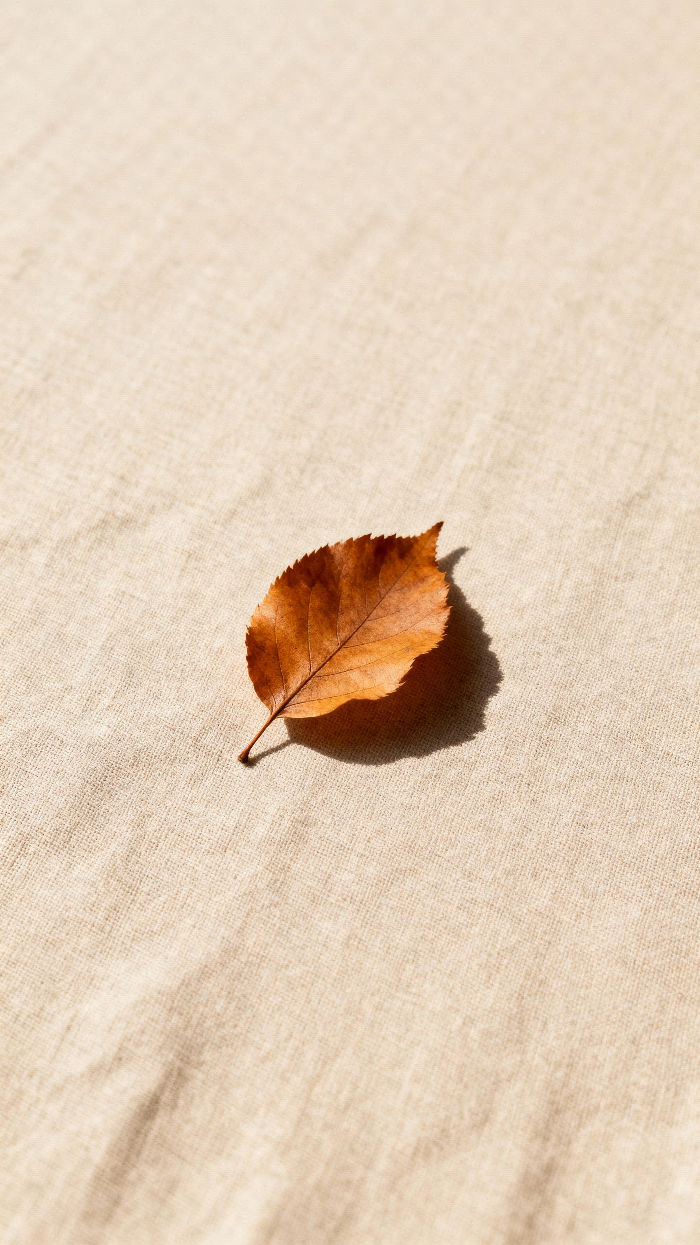 Single amber leaf placed on a natural linen backdrop with generous negative space and a soft, warm high-key grade, top area reserved for icons and copy placement.
