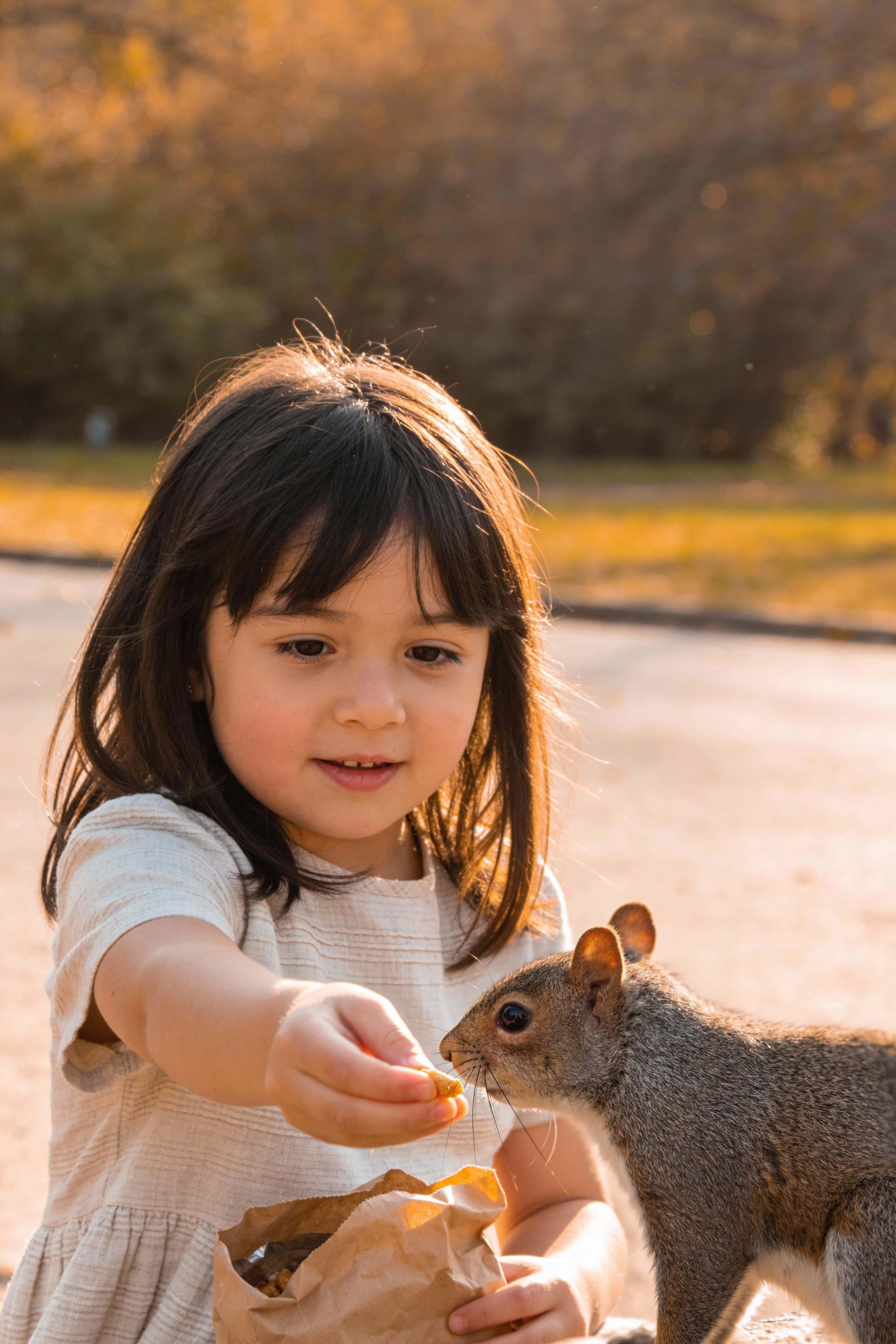 Little girl sharing snacks with a squirrel in a tender outdoor portrait, photographed in warm natural light and framed for a 2:3 children's-book cover or poster.