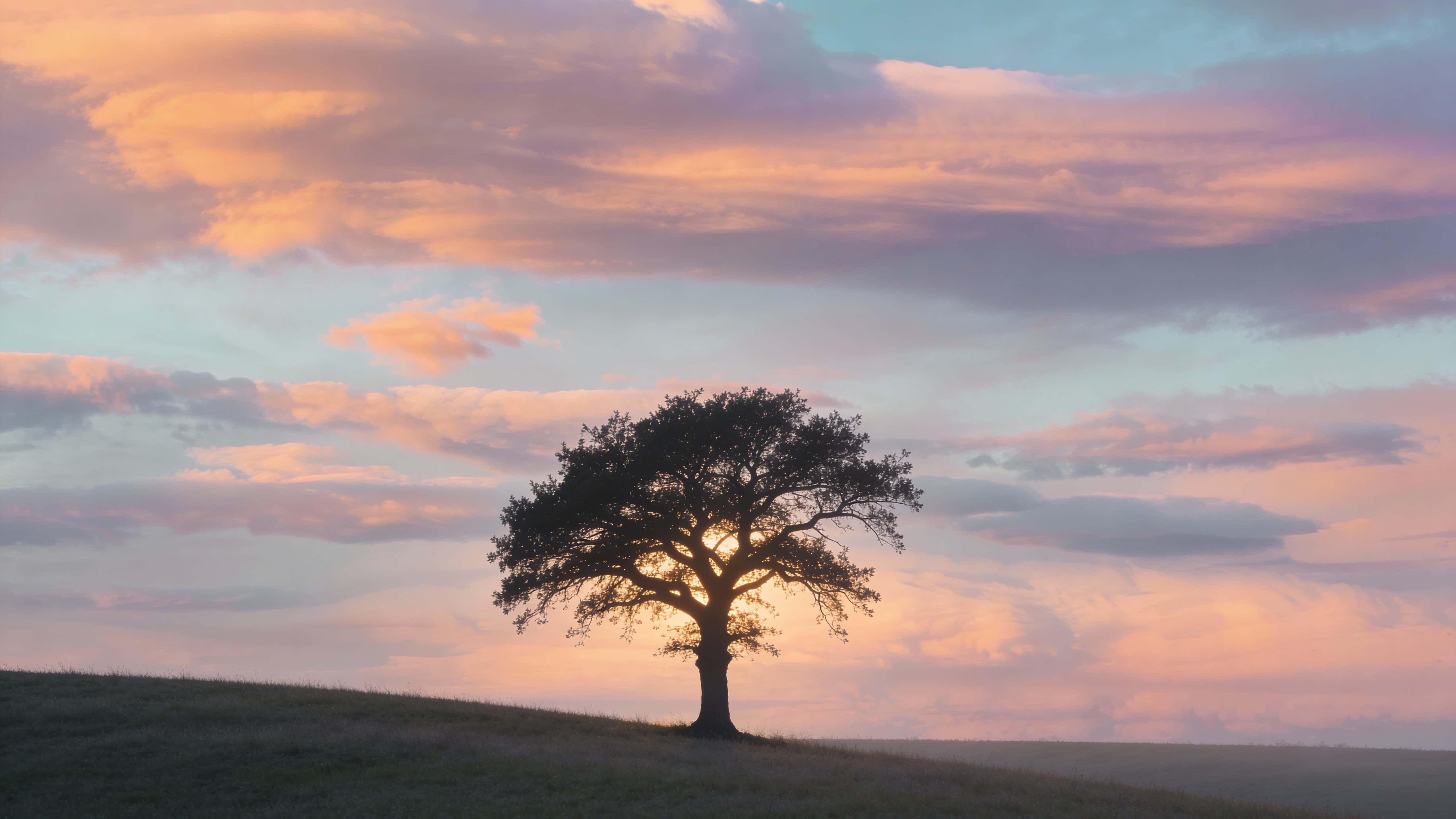A solitary tree silhouette photographed as a 16:9 landscape, captured in soft pastel sunset light with broad negative space for use as a wallpaper or background image.
