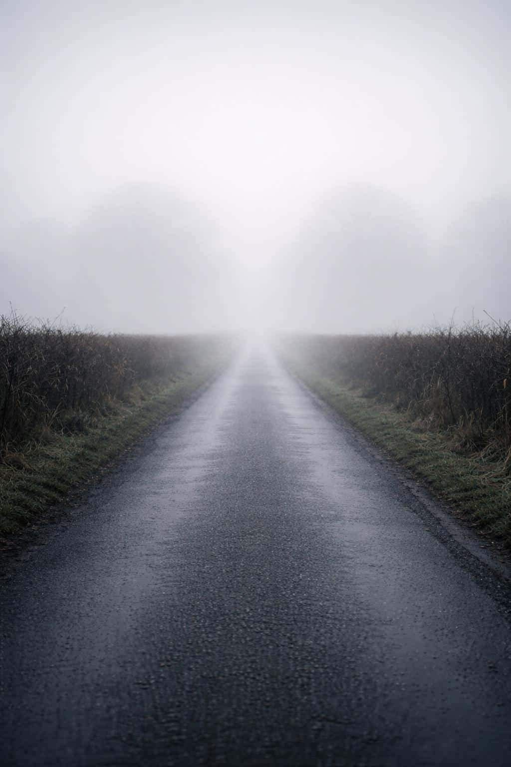 A solitary paved road leads into thick morning fog in a 2:3 portrait composition, described for a muted, atmospheric landscape photograph for wallpaper use.