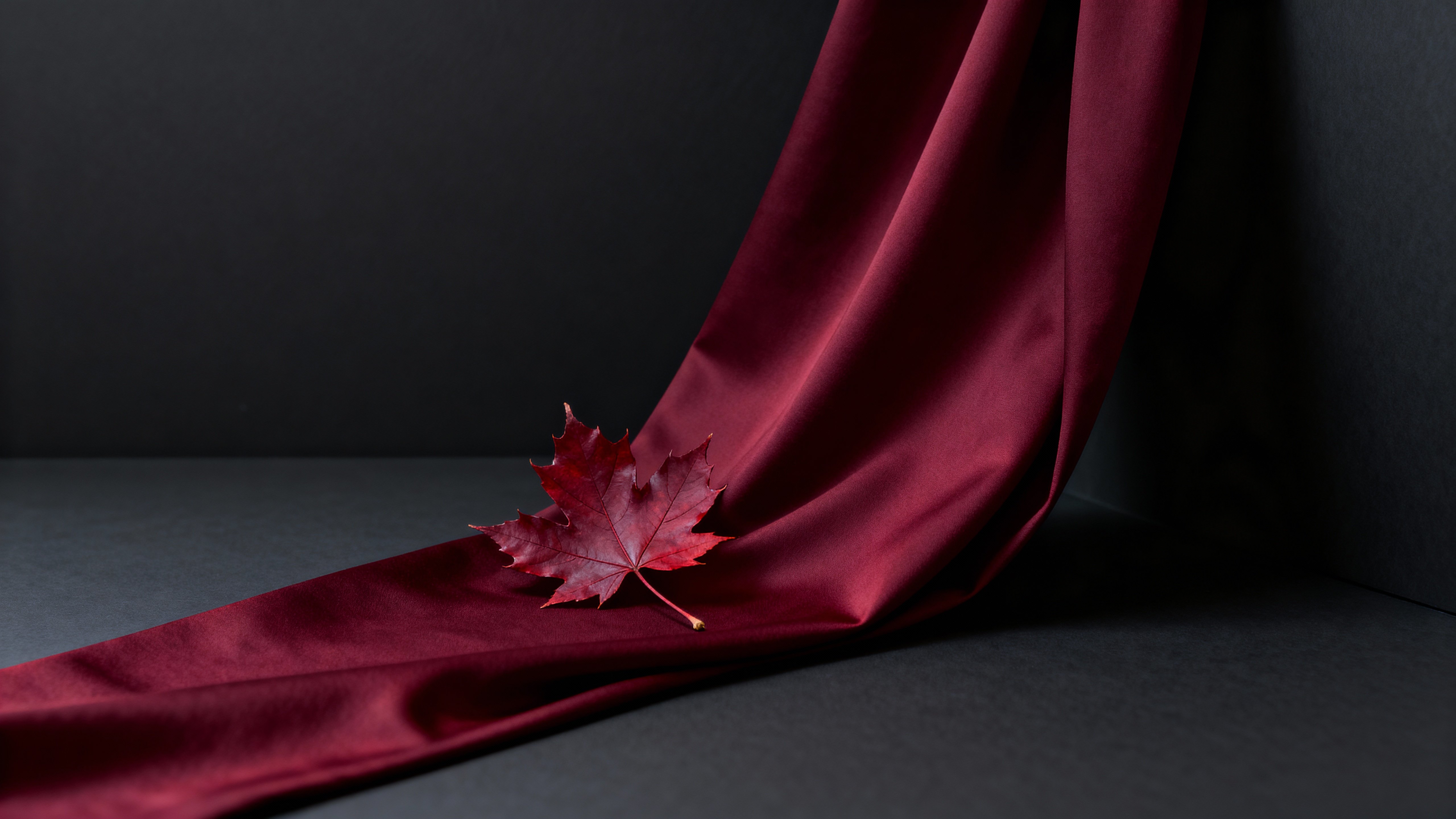 Refined still-life of a deep-crimson maple leaf (#8B0000) resting on oxblood fabric (#4A0E0E) across a charcoal field (#333333), with merlot accents (#7B1414) and warm edge sheen (#BC9A70), tight three-quarter framing and open negative‑type
