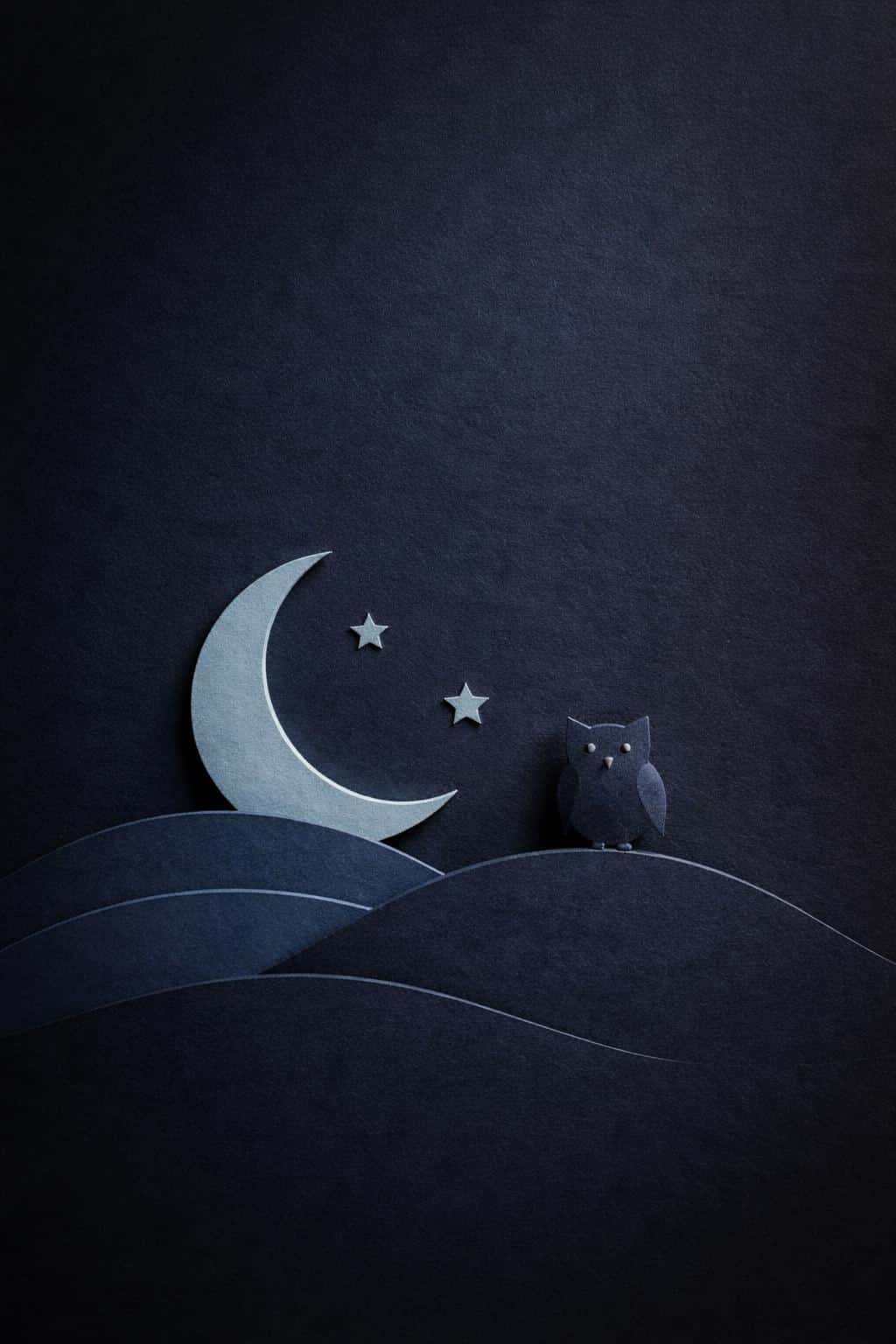 Portrait 2:3 scene of a minimalist paper-cut night relief: deep indigo-charcoal textured background with layered crescent, hill, two stars and a silhouetted owl mascot.