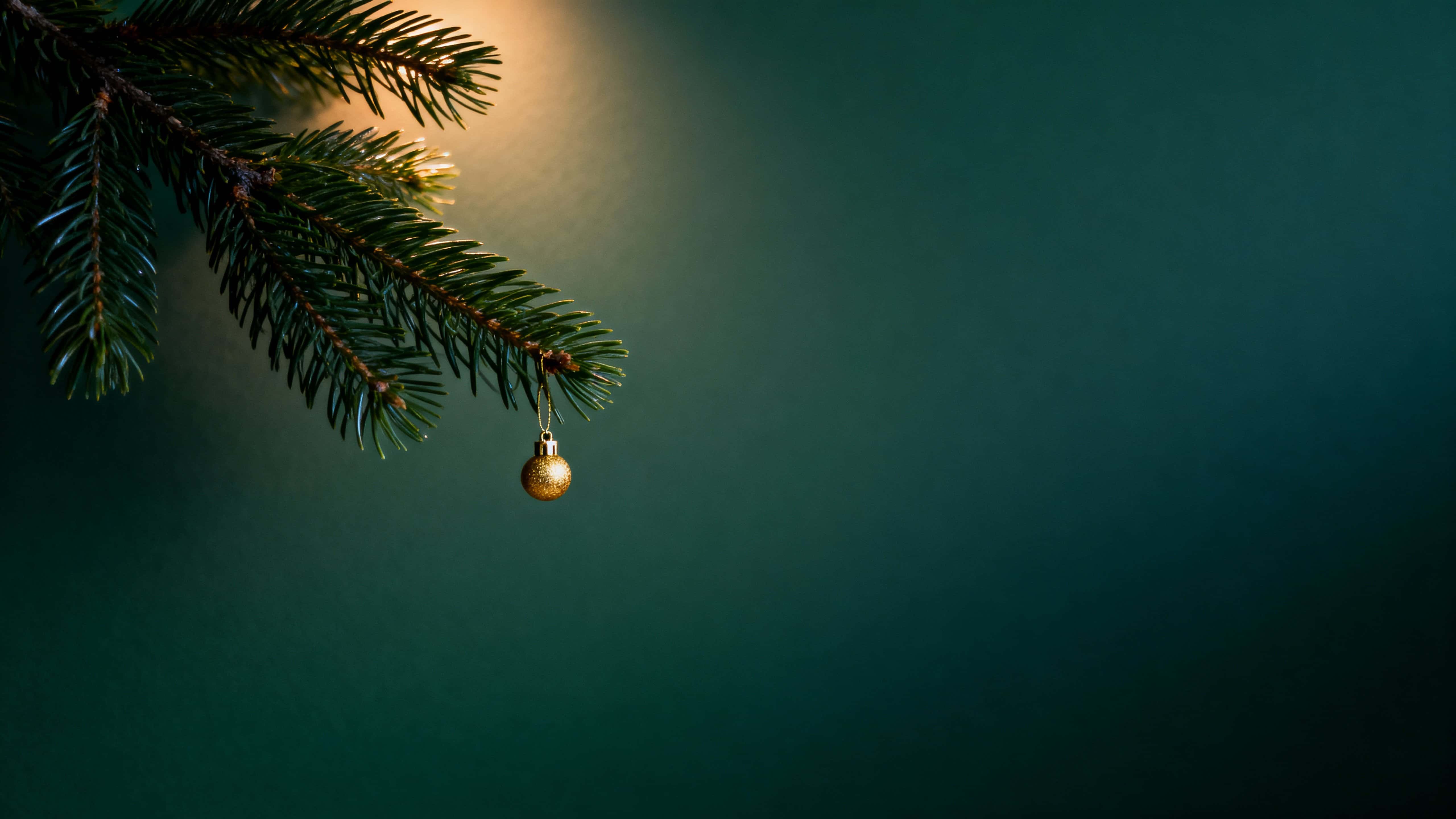 A horizontal 16:9 scene shows a simple pine branch extending from the left toward the center with deep green needles and a small golden ornament, against a dark evergreen gradient background, warm highlights on the needles and ornament, and