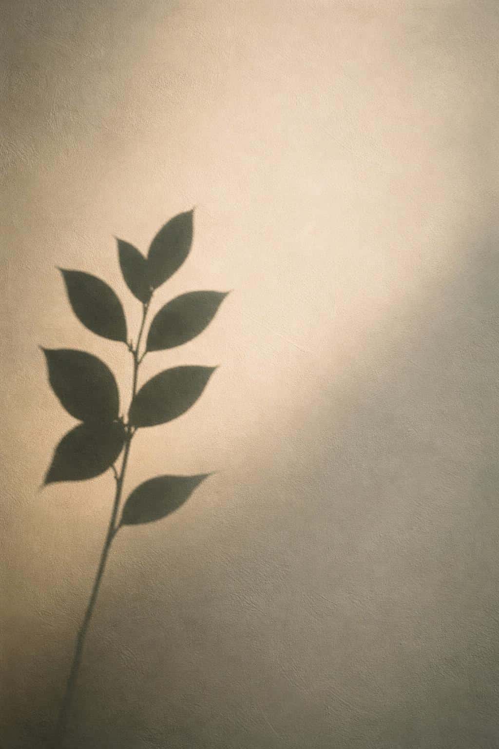 A minimalist abstract photograph of a single plant shadow falling across a plain wall, composed and cropped for a 2:3 poster or wallpaper with calm, architectural mood.