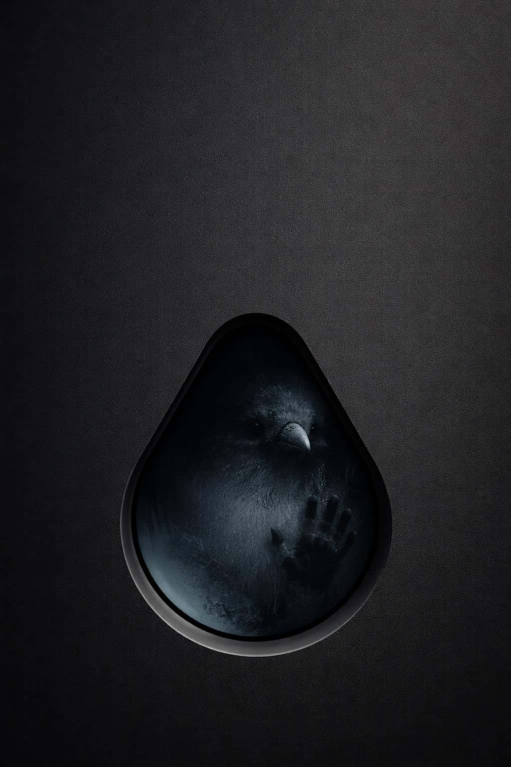 Minimal dark 2:3 wallpaper with a deep charcoal gradient and matte grain, showing a beveled teardrop cutout housing a fogged smoked-glass panel with a small raven silhouette pressing close and fingertip swipe marks, lit by a dim bluish rim glow.