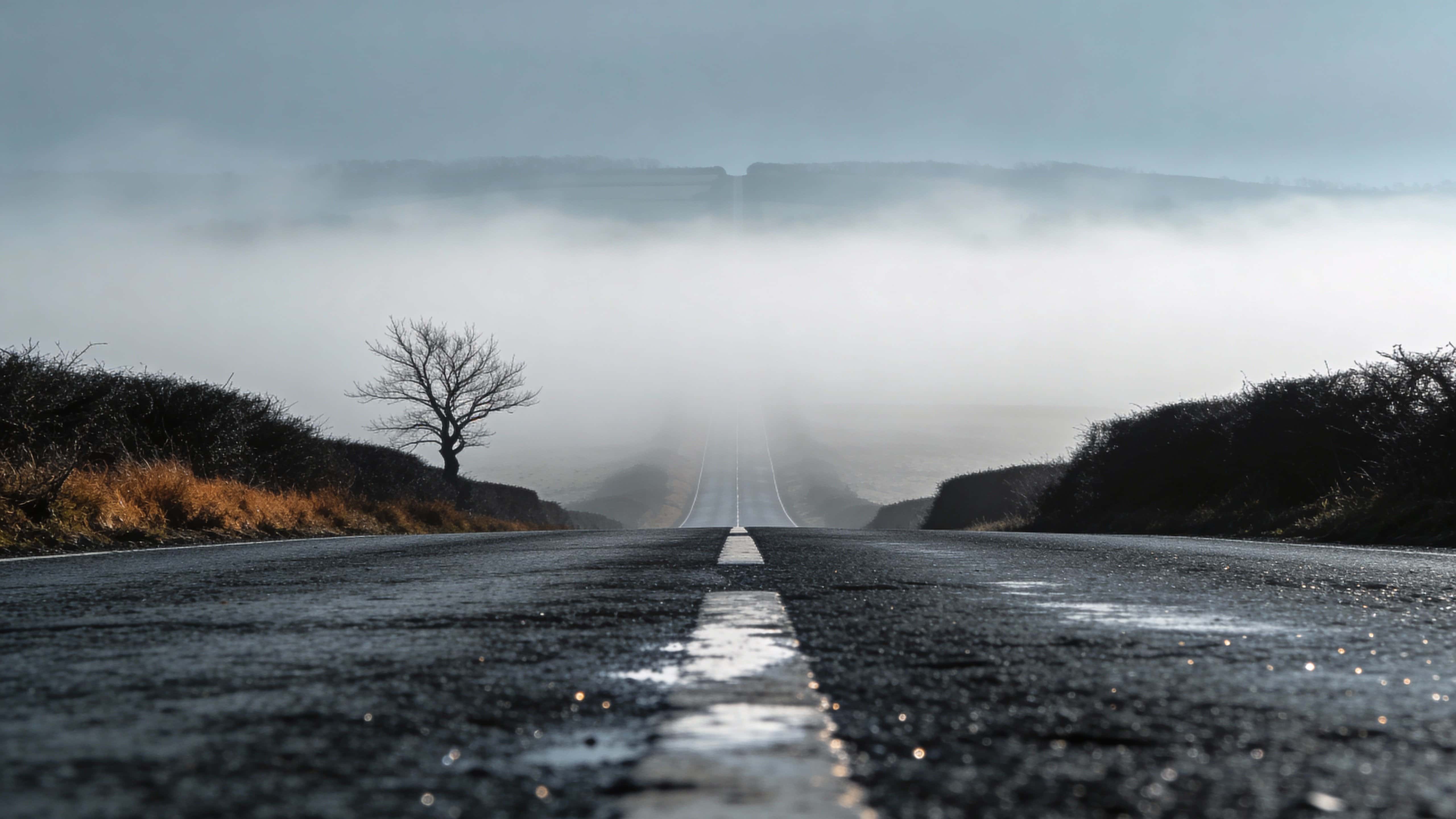 Lonely road photographed as a low-contrast landscape scene with misty atmosphere and wide 16:9 composition suitable for wallpaper or cinematic background usage.