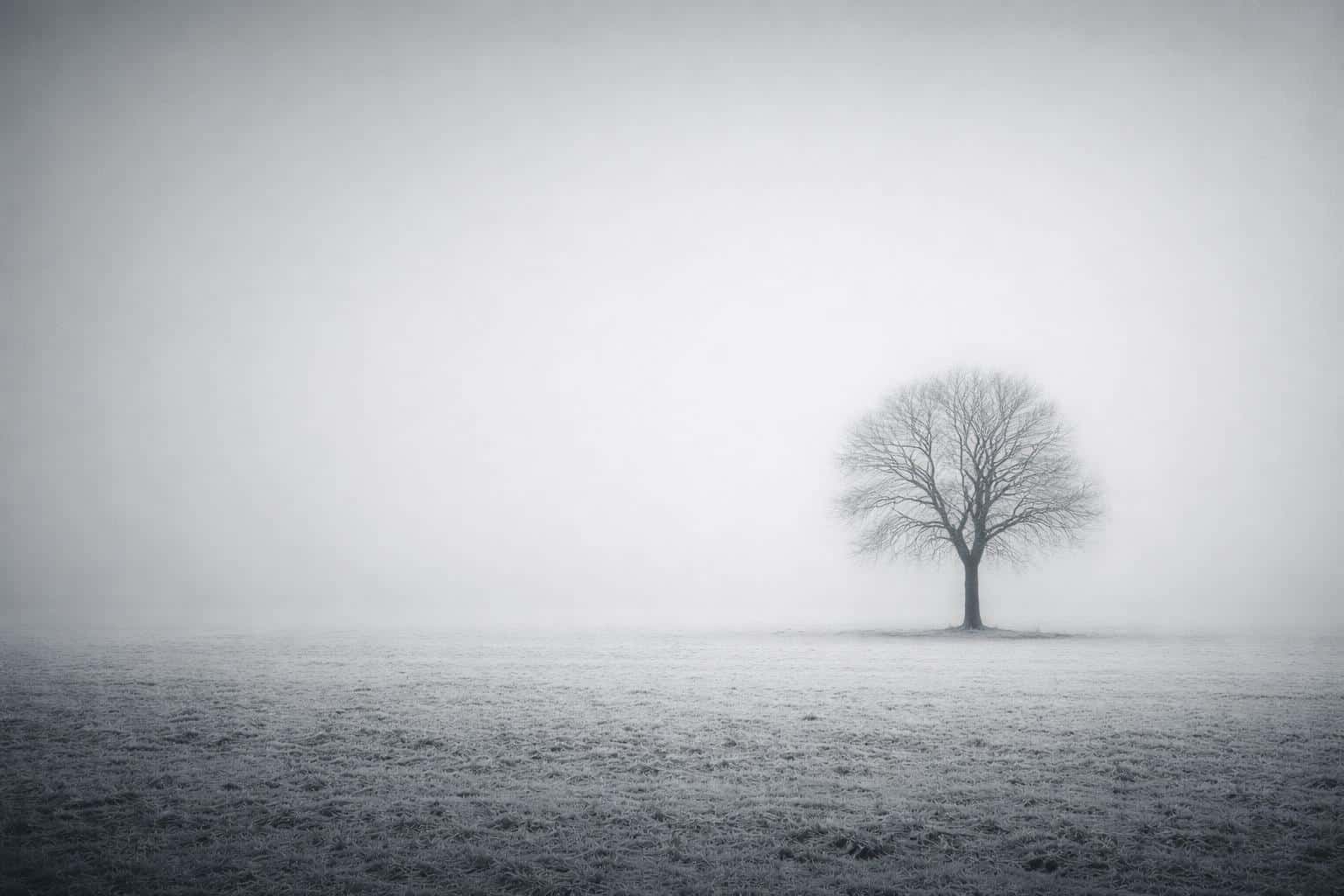 Minimal cinematic 3:2 widescreen landscape of a lone bare tree in a flat winter field shrouded in low fog, placed off-center and small to emphasize vast negative space and a still, quiet mood.