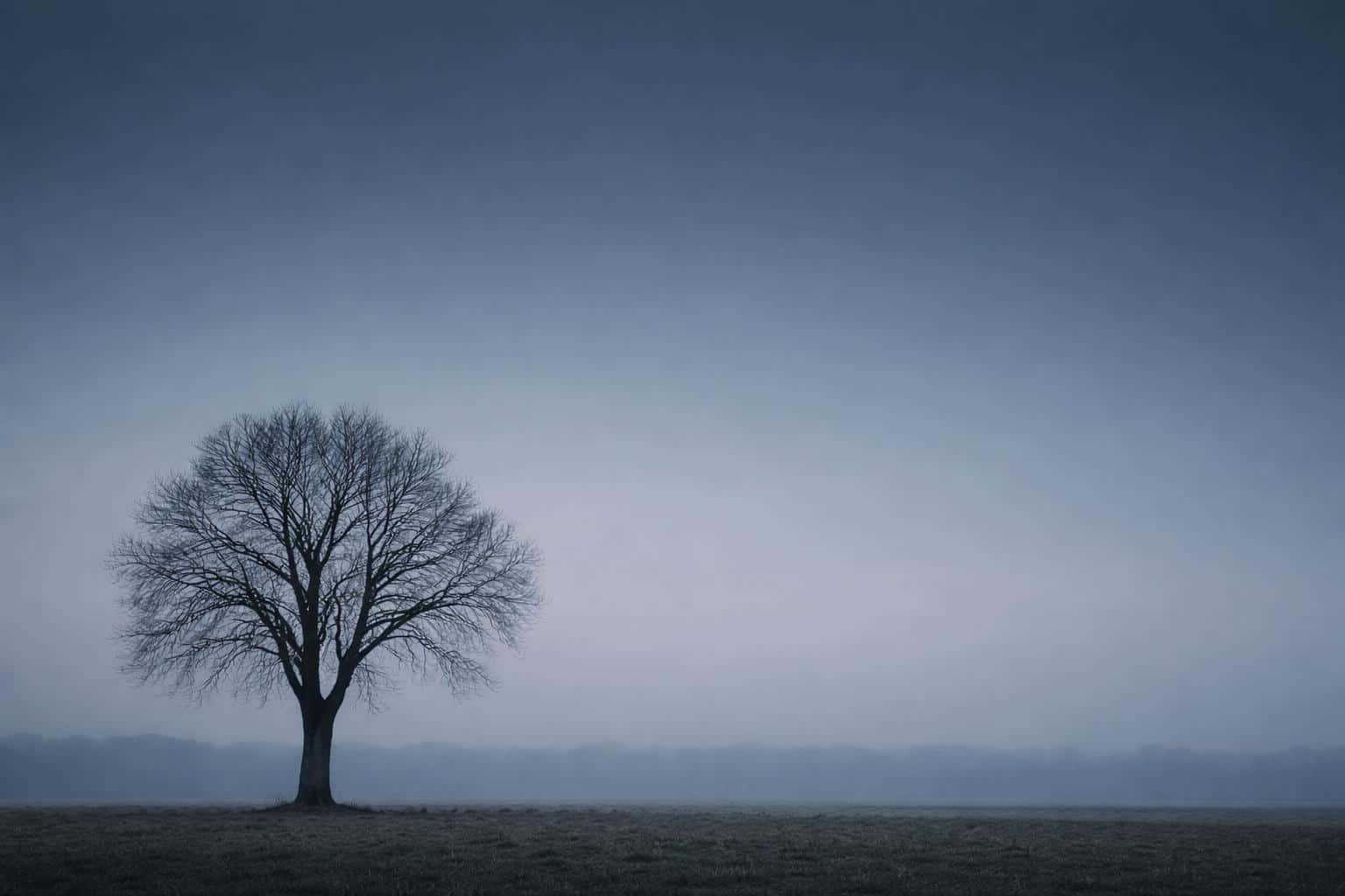 A minimalist 3:2 landscape photograph of a solitary tree set low in the frame with expansive sky, framed and cropped for wallpaper or poster use with calm tonality.
