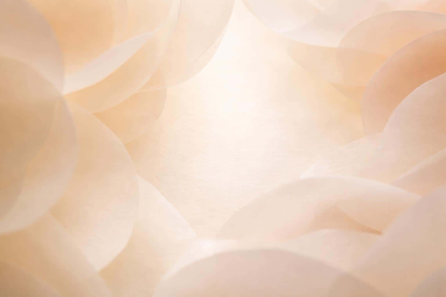 Macro study of layered translucent vellum in 3:2 landscape, showing soft, semi-transparent petal-like forms in cream, pale peach and champagne with glowing subsurface scattering.