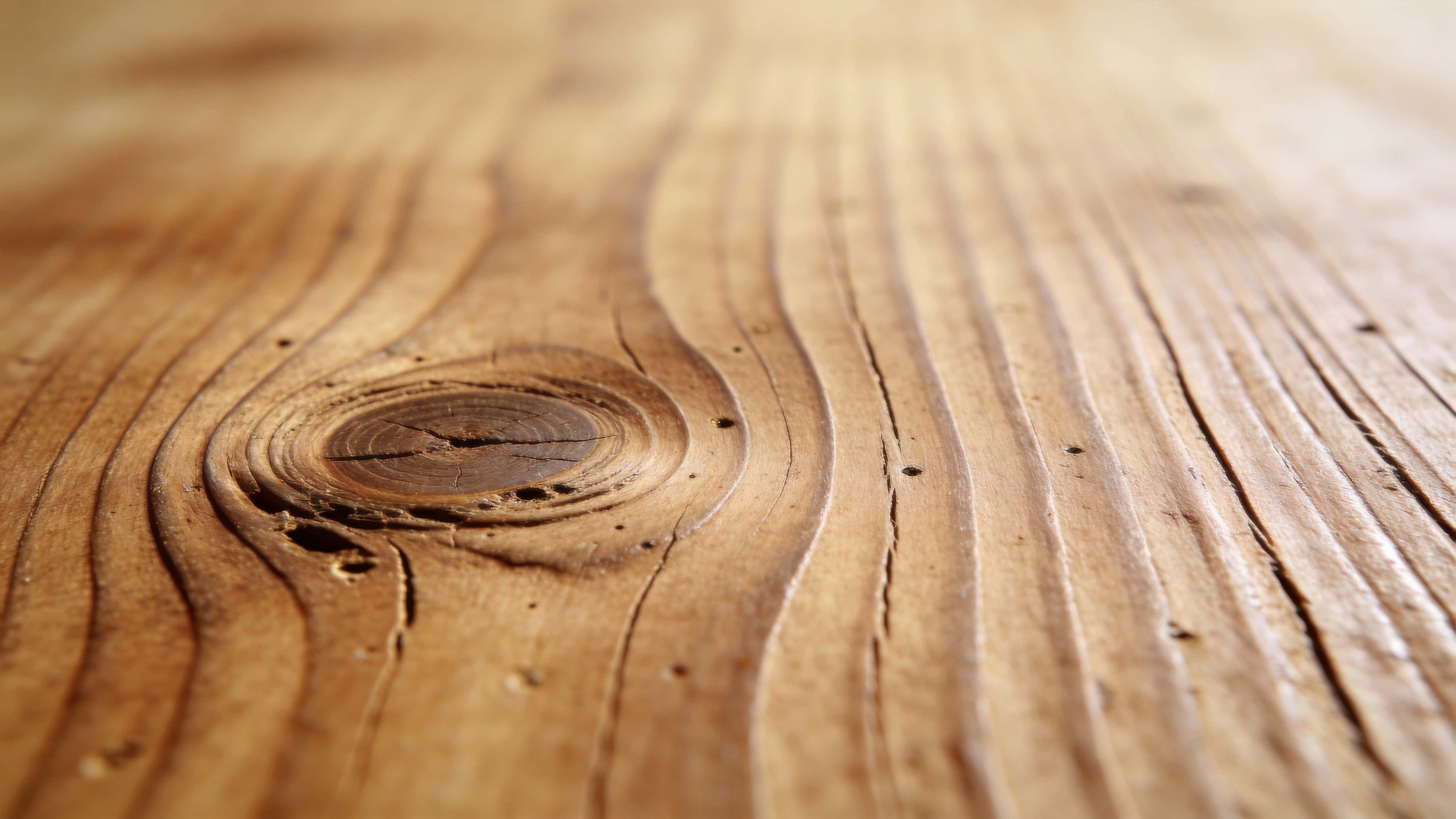 Close-up study of natural wood grain captured as a wide 16:9 texture image for use as wallpaper or background with warm, tactile detail and gentle side lighting.